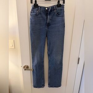 Agolde 90s pinch waist high rise straight